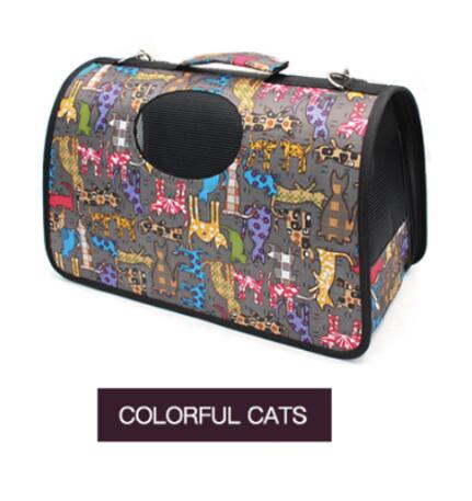 Colorful Cats