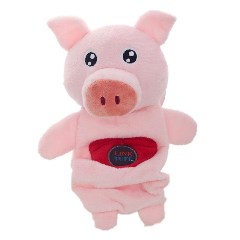 pig