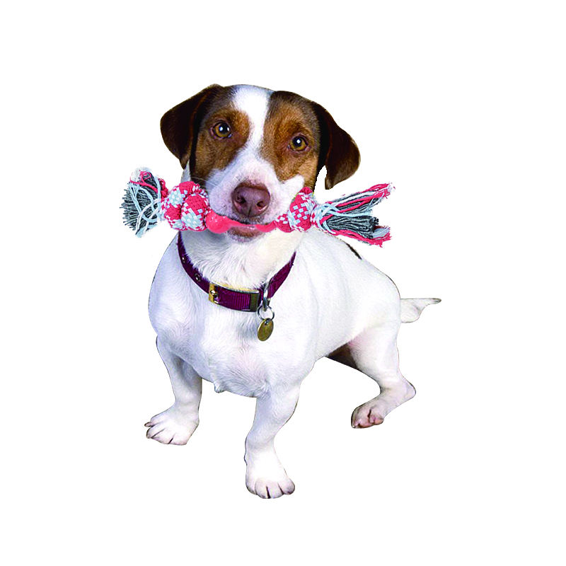 Manufacturer Wholesale Chew Dog Rope Toys Christmas Design