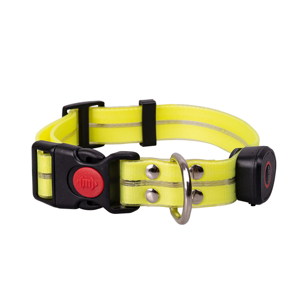 Solar Rechargeable Led Dog Collar And Leash Set