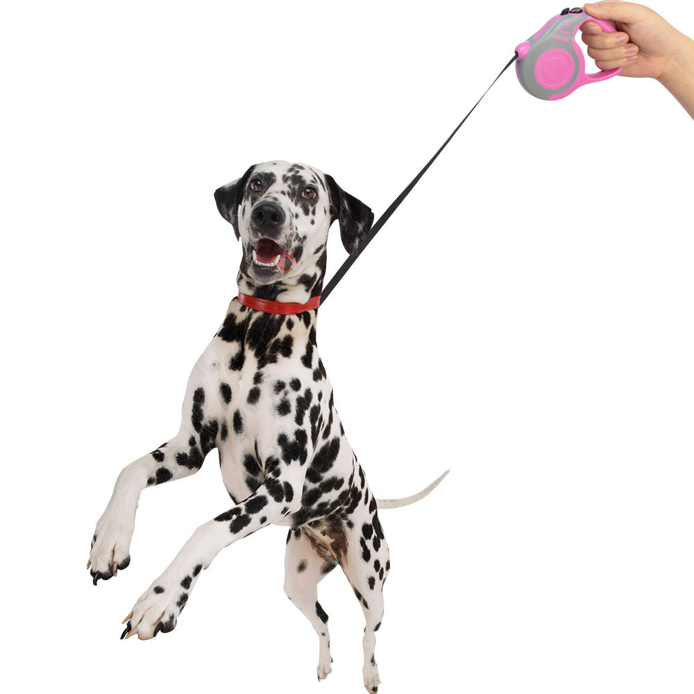 Custom Logo And Packaging Multiple Colors Abs Retractable Dog Leash