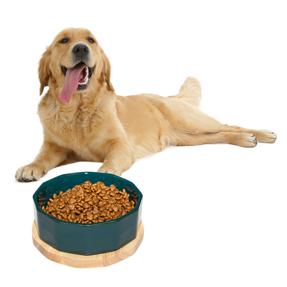 Luxurious Ceramic Pet Bowl For Dogs And Cats With Non-slip Wooden Mat