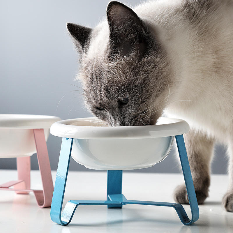 Wholesale Custom New Design Ceramic Pet Bowl With Colorful Stainless Steel Stand For Cats And Dogs