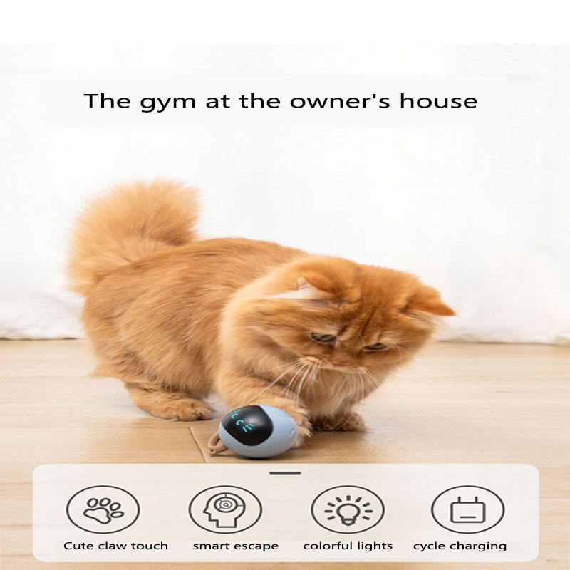 New Design Pet Smart Interactive Cat Toy Led Rotating Usb Recharge Kitten Electronic Ball Pet Toys