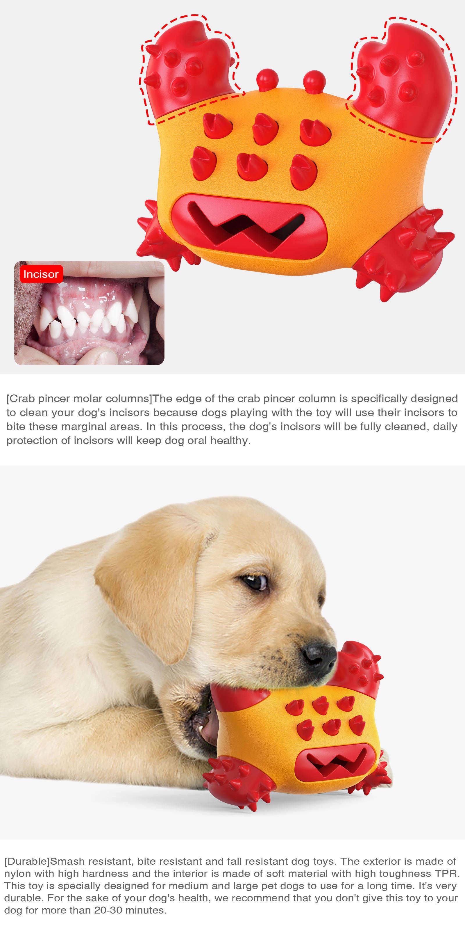 Eco Friendly Training Playing Outdoor Dental Bite Resistance Pet Dog Toys Crab Indestructible Durable Dog Chew Toy