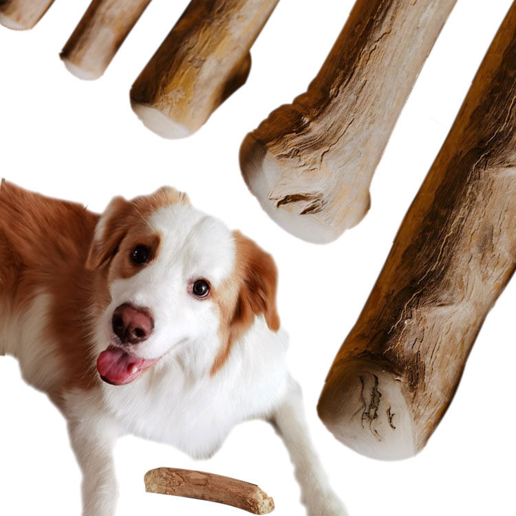 Factory Direct Sales Natural Environmentally Friendly Coffee Wood Dog Chew Stick Safe Dog Chew Toy Coffee Tree