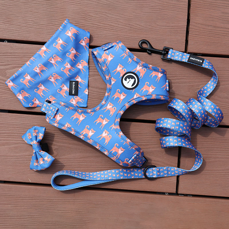 All-weather Dog Harness Neoprene Heavy-duty Metal D-ring Stylish Luxury Prints Puppy Dog Harness Set