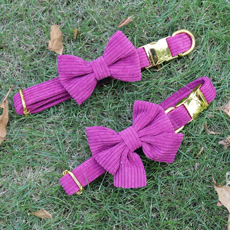 Custom Corduroy Material High Quality Small Breed Pink Collar Poop Bag Holder Bow Tie Dog Leash With Harness