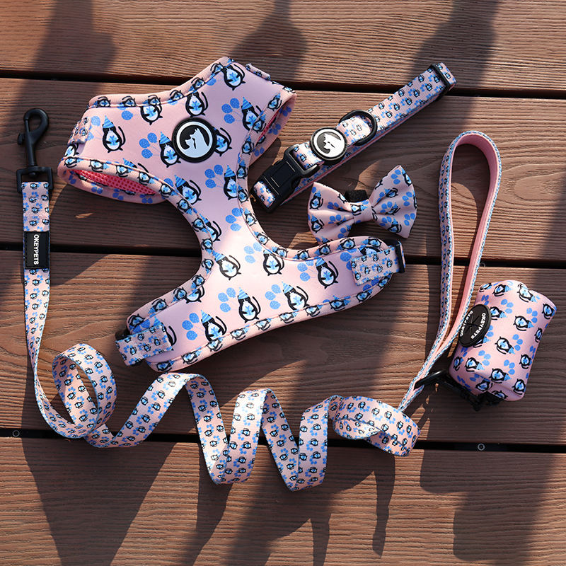 Camouflage Logo Oem Dog Walk Outdoor Designer Harness With Matching Collar Leash Poop Bag Holder Bow Tie