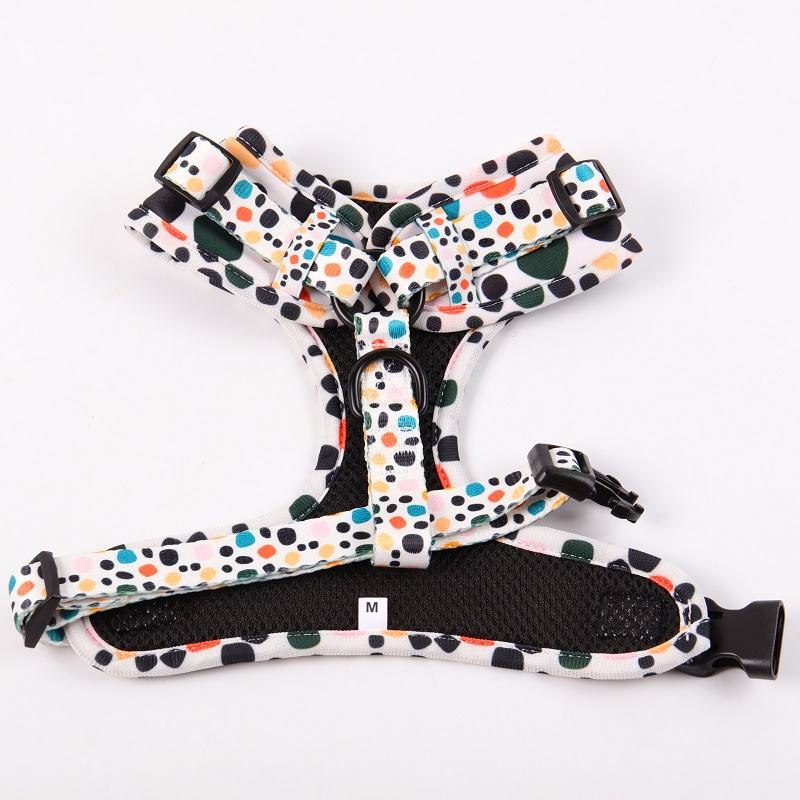 Custom Dog Harness Personalized Luxury Pet Soft Padded No Pull Dog Harness Vest And Leash Set With Dot Colorful Design