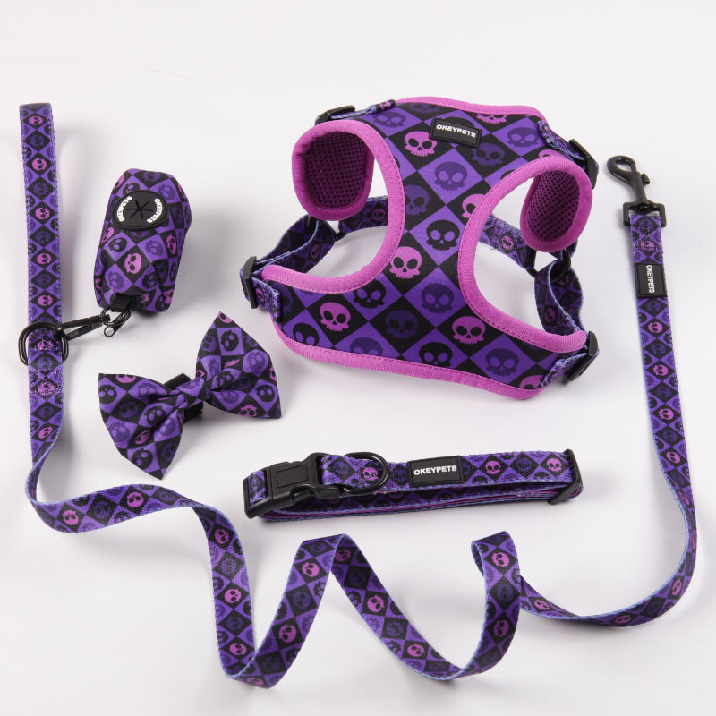 Luxury Adjustable Padded Pet Vest Leash Collar Poop Bag Holder Whole Set Step In Custom Dog Harness Supplier