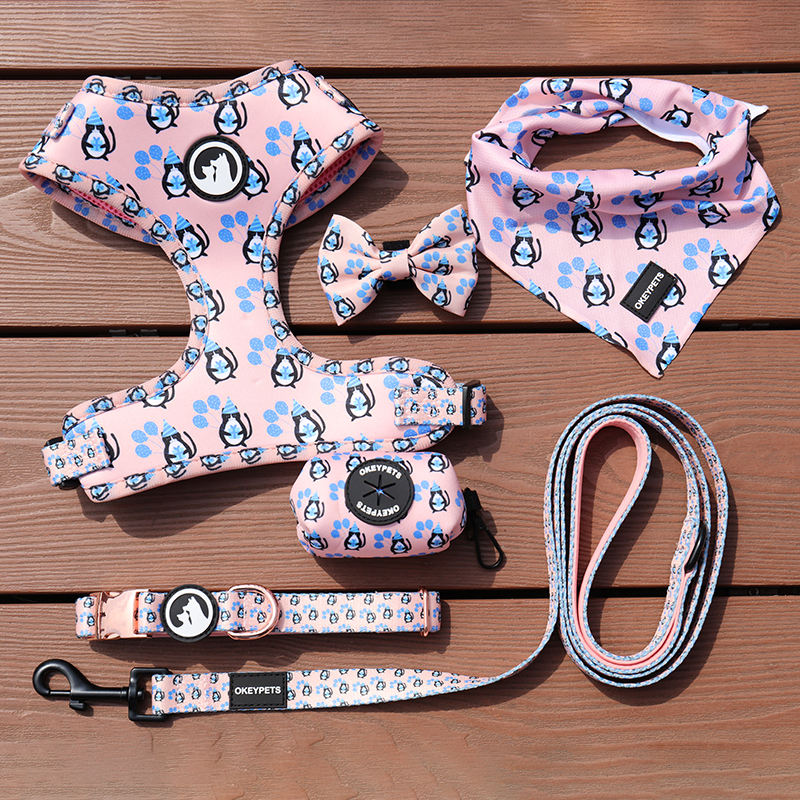 Wholesale Adjustable Dog Harness Collar Leash Poop Bag Holder Bow Tie Personal Logo Leash Set Pet Harness Set Personalized