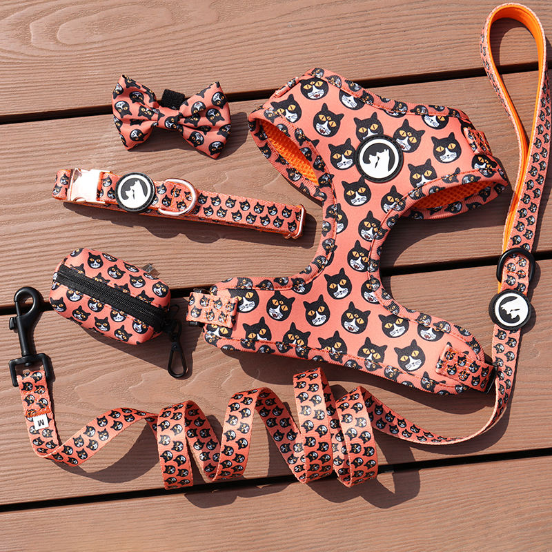 Cute Simple Style Adjustable Luxury Thick Sherpa Warm Metal Clip Quick Release Dog Harness Leash Set Sublimation