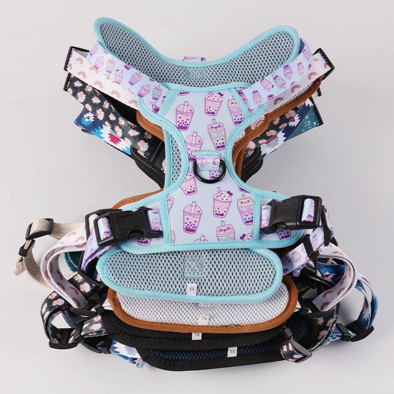 No-pull Pet Harness With 2 Leash Clips Adjustable Soft Padded Dog Vest Reflective No-choke Pet Oxford Vest