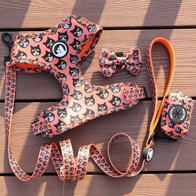 Custom Luxury Dog Harness Set Personalized Adjustable Puppy Collar And Leash Vest Set