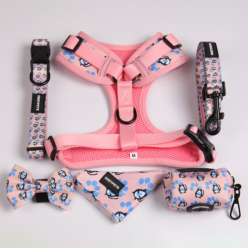 Luxury Pet Custom Harness Vest Comfortable Adjustable Dog Collar Leash Designers Neoprene Air Mesh Dog Harness Set