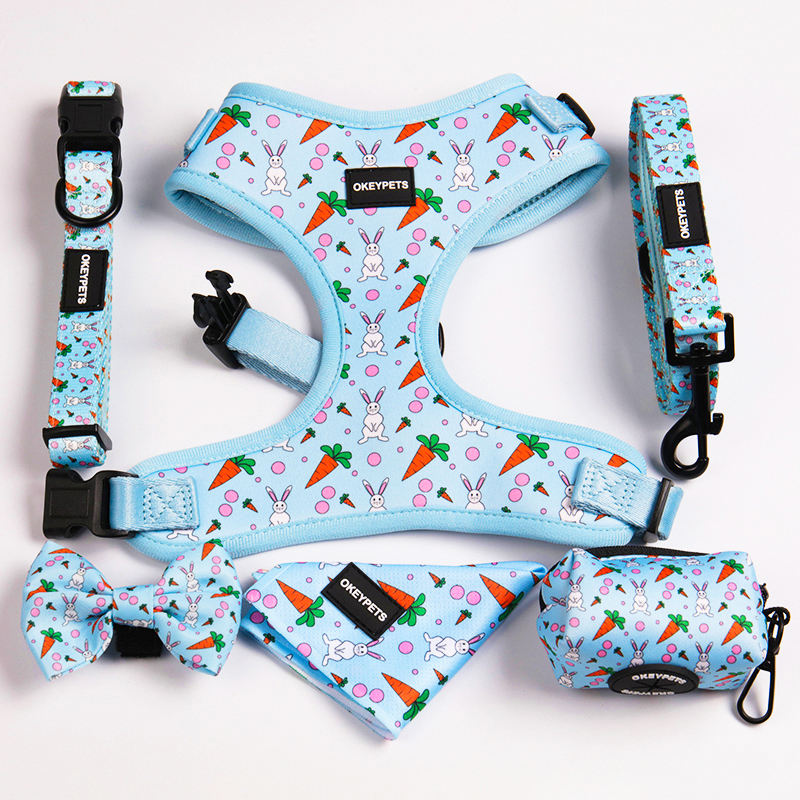 Pet Vest Personalized Sublimation Design Pattern Luxury Sports Air Mesh Padded Dog Harness Set