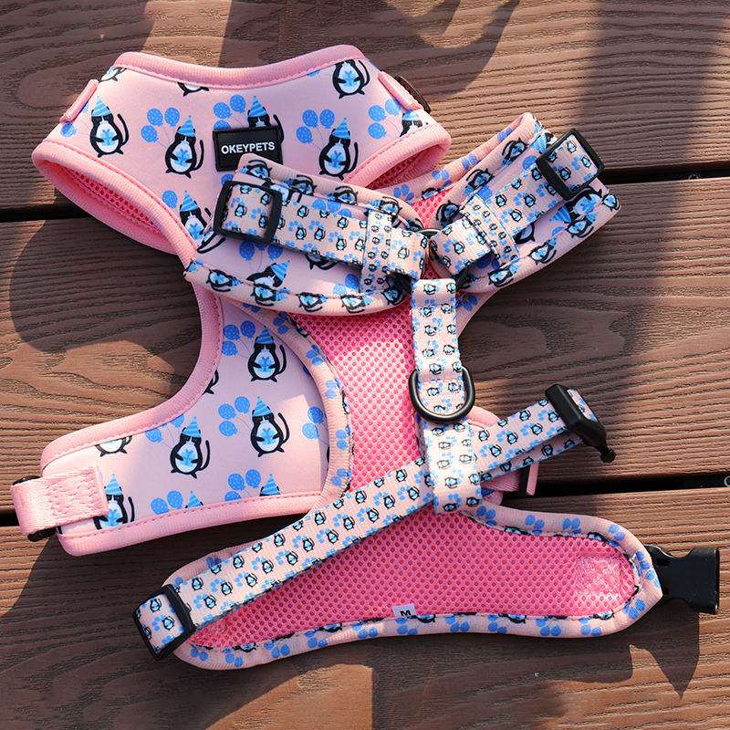 Adjustable Dog Accessories Sublimation Dog Harness Set Custom Personalized Pet Supplies 2023 Small Dog Harness Collar And Leash