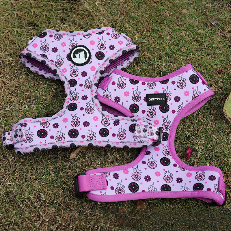 Supplies Pet Custom Adjustable Buckle Pet Vest Harness Design Neoprene Padded Luxury Dog Harness