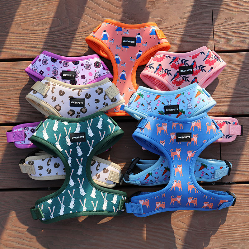 Oem/odm Flower Pattern Harness Pet Leash Dog Chest Neoprene Custom Logo Clip Dog Harness Set