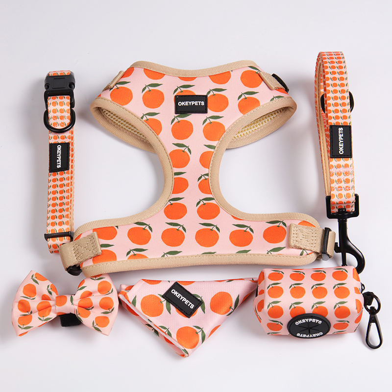 Neoprene Dog Long Harness Custom Logo Dog Harness Set Custom Logo Design