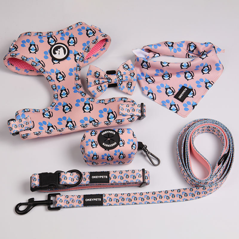 Custom Design Sublimation Personalized Adjustable Pet Backpack Dog Collar Leash Harness Set