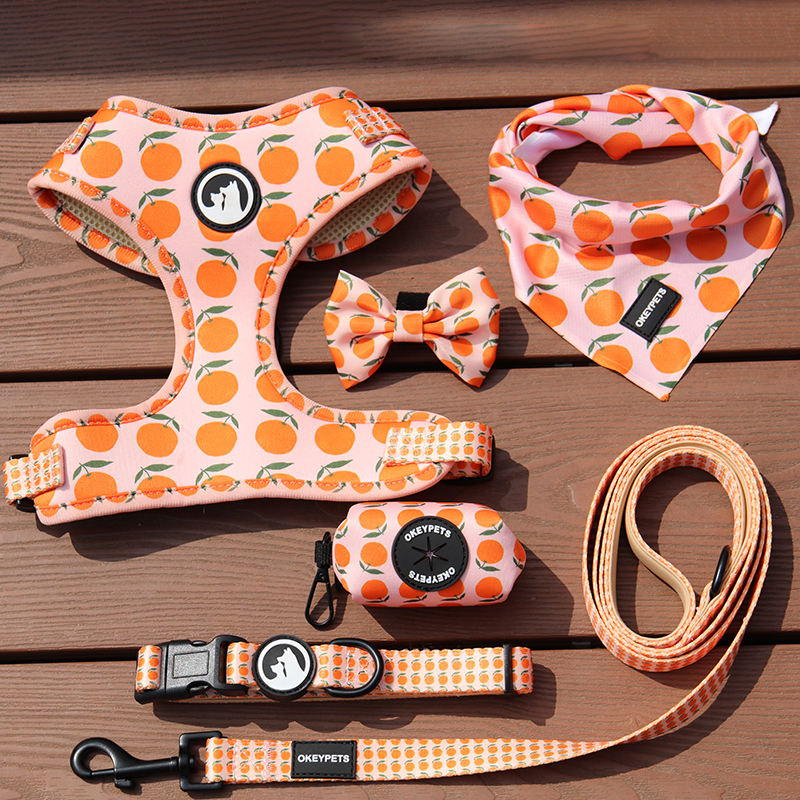 Hot Sell Oem/odm Custom Reversible Dog Harness With Many Patterns