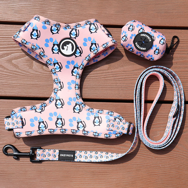 Durable Best Hot Custom Pet Supplies Accessories Dog Harness Set Luxury Upgrade No Pull Dog Harness Set