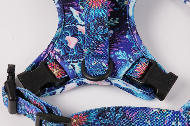 Luxury Fashion Outdoor Pet Vest Set Nylon Oxford Custom Color Strong Big Dog Harness Jacket Vest