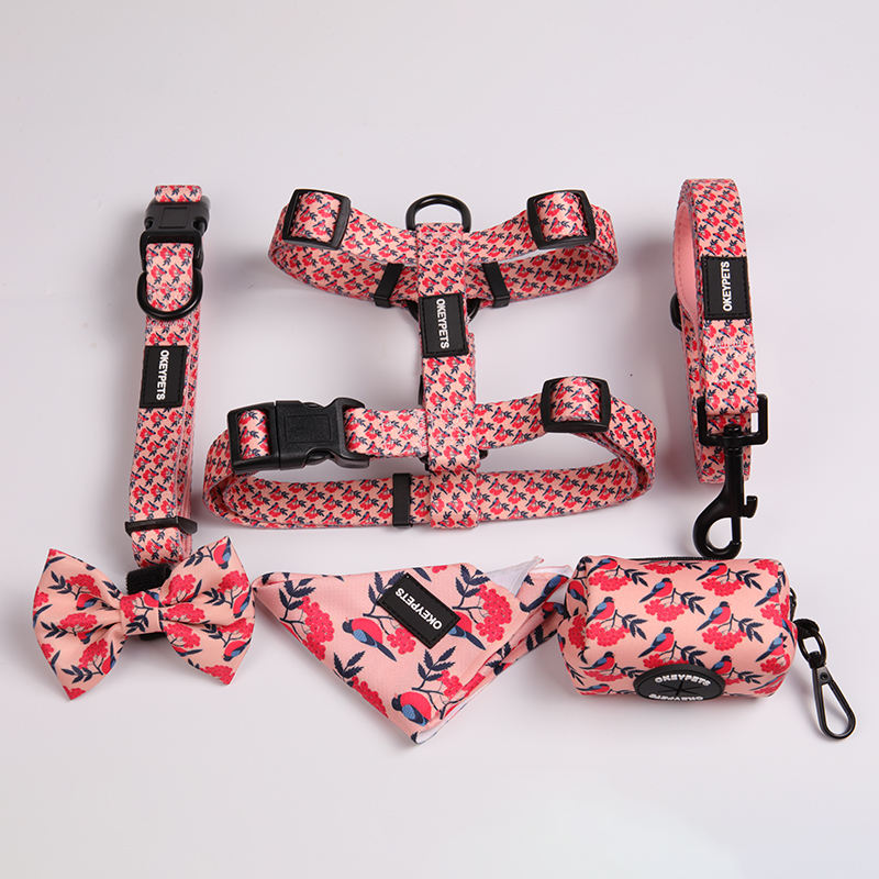 Custom Neoprene Padded Pet Neck Collar Cute Printing Dog Luxury Training Collar