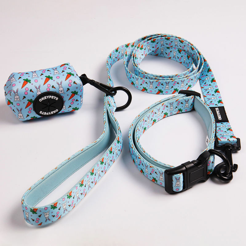 Custom Neoprene Padded Luxury Pet Neck Collar Heat Transfer Printing Soft Walking Dog Collar