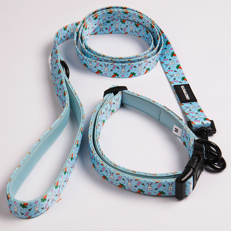 Custom Neoprene Padded Luxury Pet Neck Collar Heat Transfer Printing Soft Walking Dog Collar