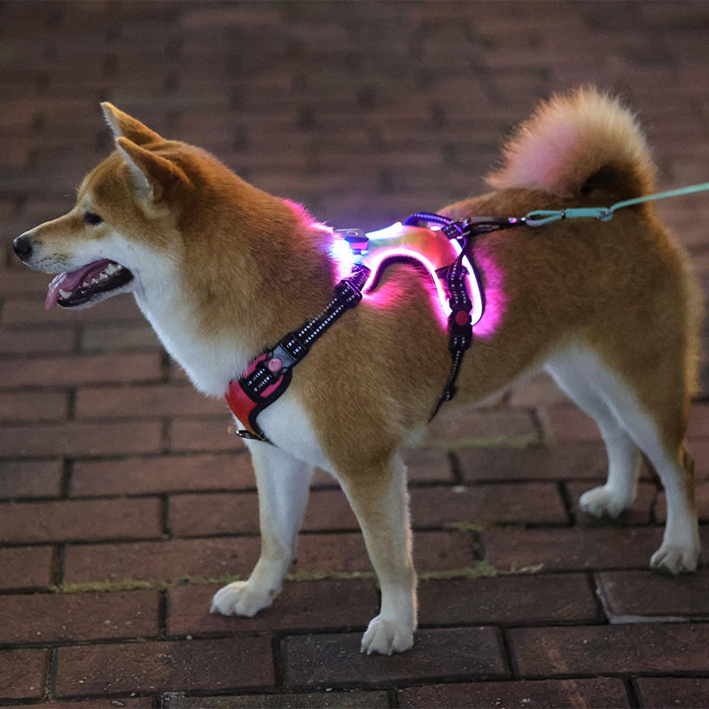 Rechargeable Adjustable Water Resistant Led Light Up Lighted Reflective Dog Harness With Handle