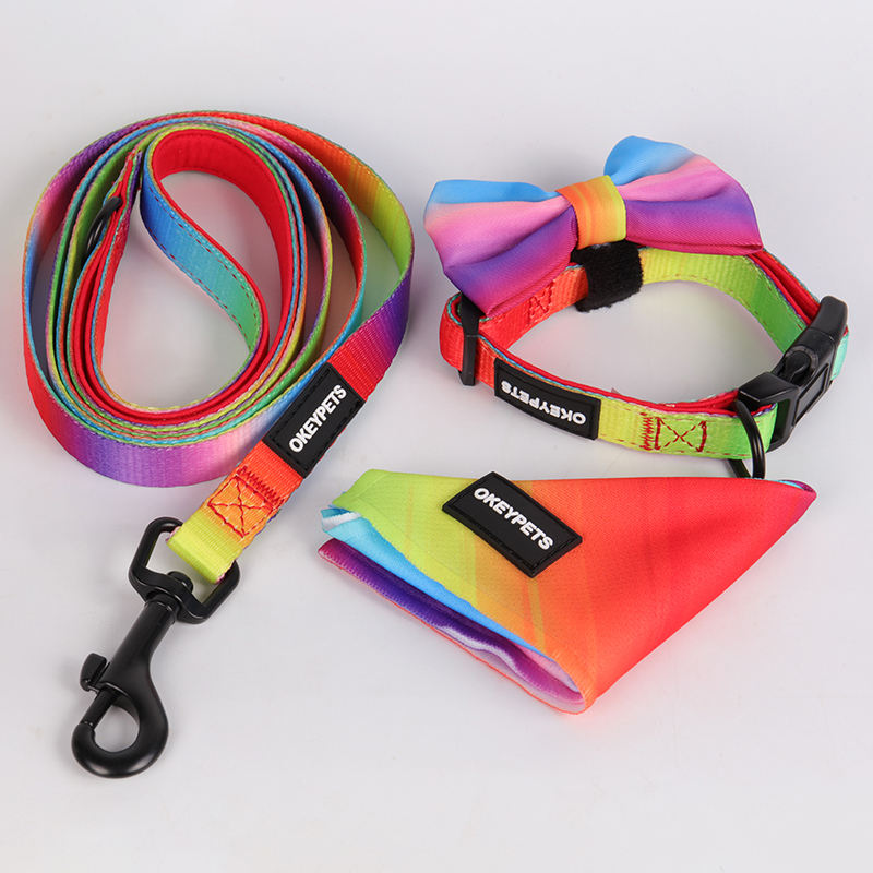 Wholesale Dog Harness Set Pet Harness And Leash,Plain Color Foam Handle Polyester Pet Harness And Leash