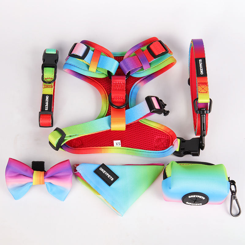 Wholesale Dog Harness Set Pet Harness And Leash,Plain Color Foam Handle Polyester Pet Harness And Leash