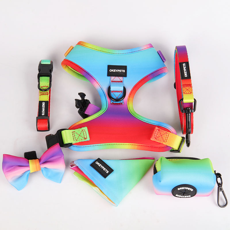 Wholesale Dog Harness Set Pet Harness And Leash,Plain Color Foam Handle Polyester Pet Harness And Leash