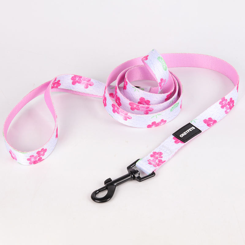 Wholesale Dog Harness Set Pet Harness And Leash,Plain Color Foam Handle Polyester Pet Harness And Leash