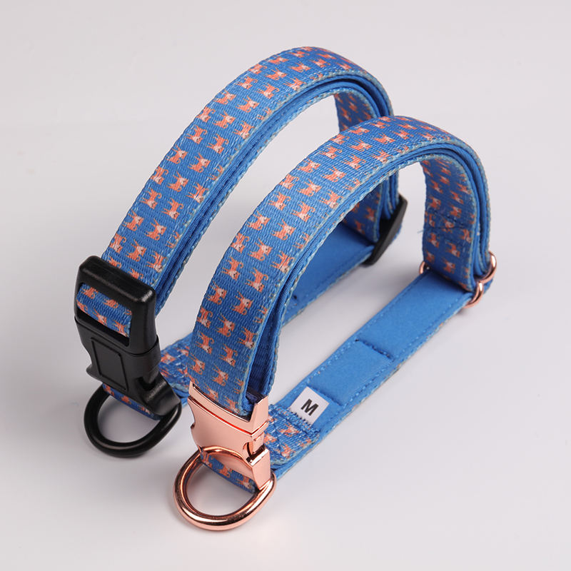 Best Quality Luxury Personalized Heat Transfer Printed Webbing Neoprene Padded Dog Collar Designer