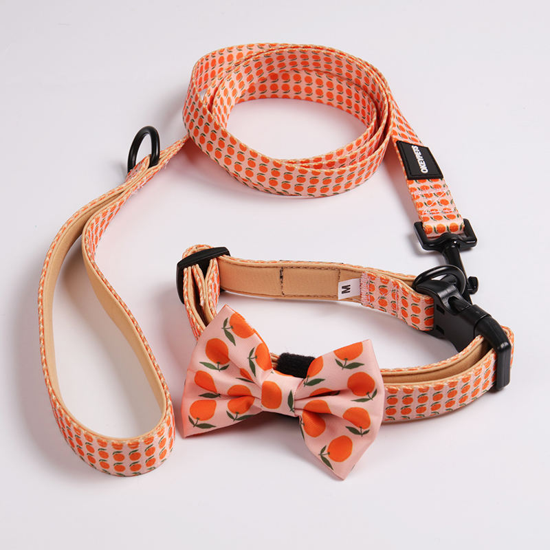 Bulk Custom Pattern Designer Padded Printing Pet Dog Collar And Lead Set Luxury