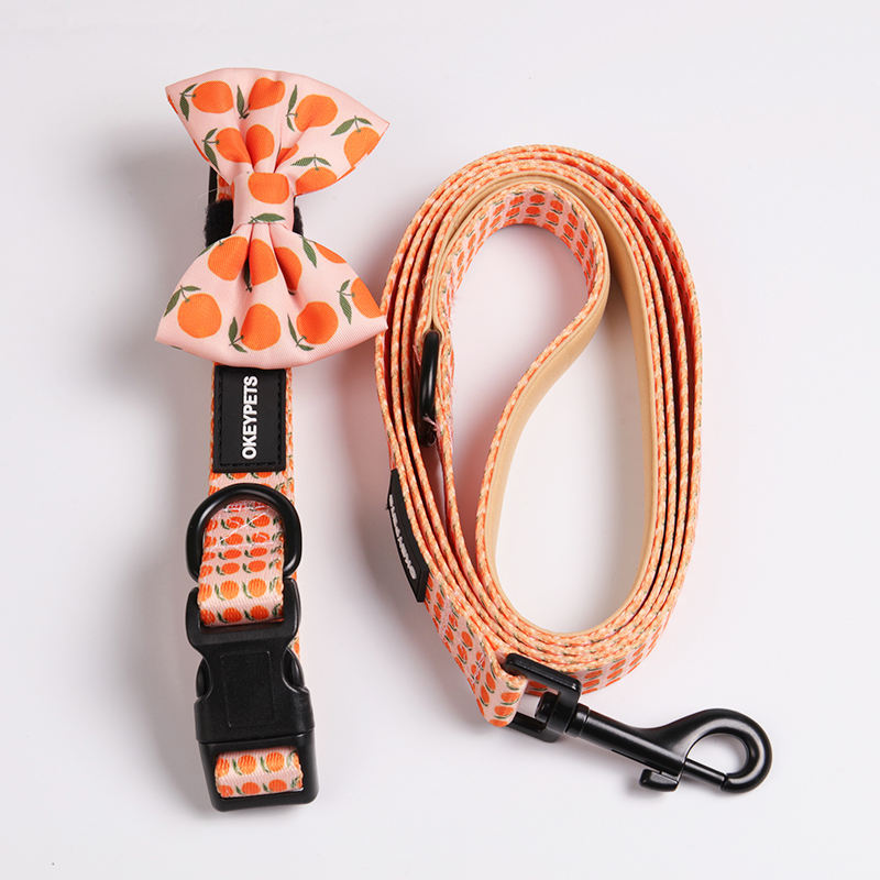 Custom Personalized Pattern Padded Printing Orange Pet Dog Collar And Lead Set Luxury