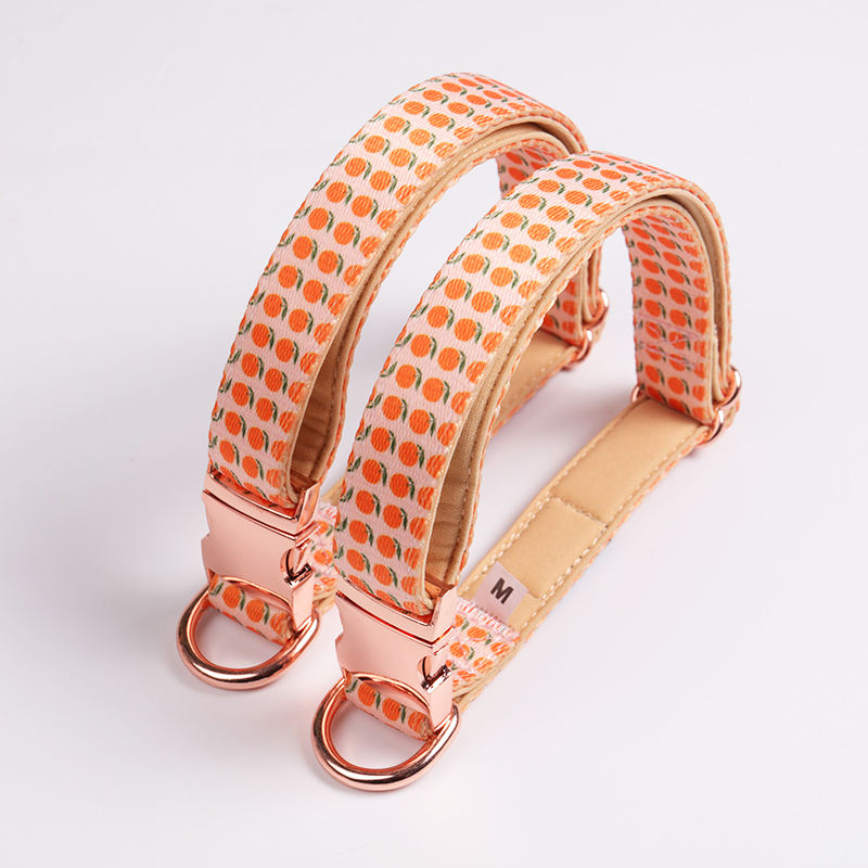 Custom Personalized Pattern Padded Printing Orange Pet Dog Collar And Lead Set Luxury