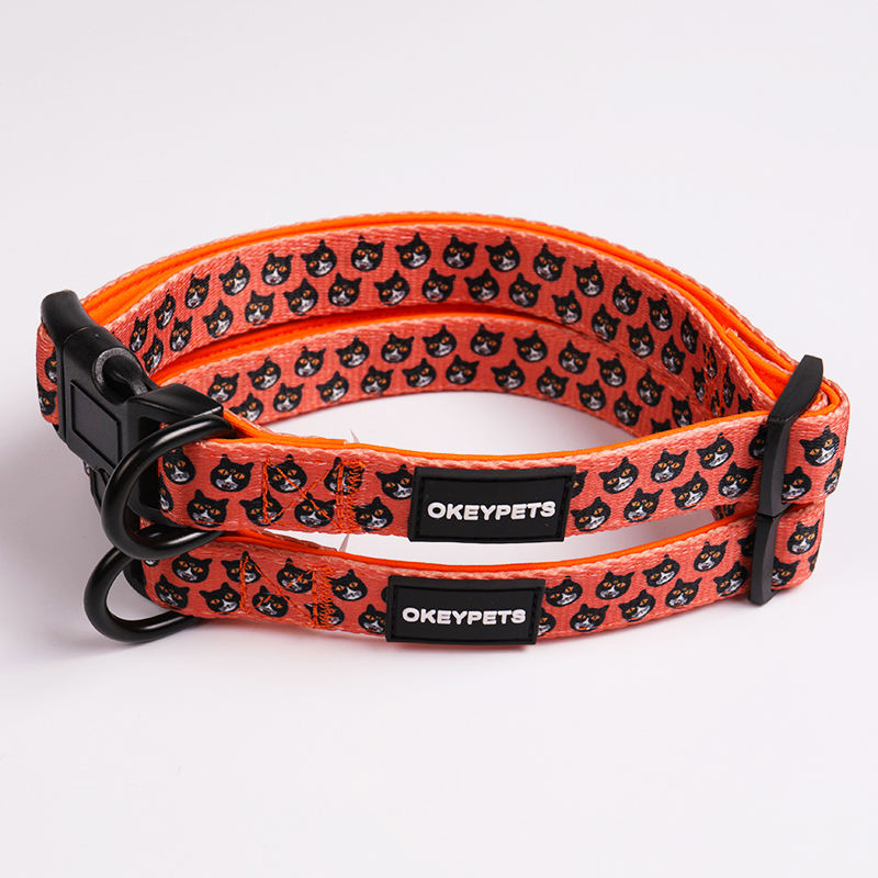 Custom Personalized Pattern Padded Printing Orange Pet Dog Collar And Lead Set Luxury