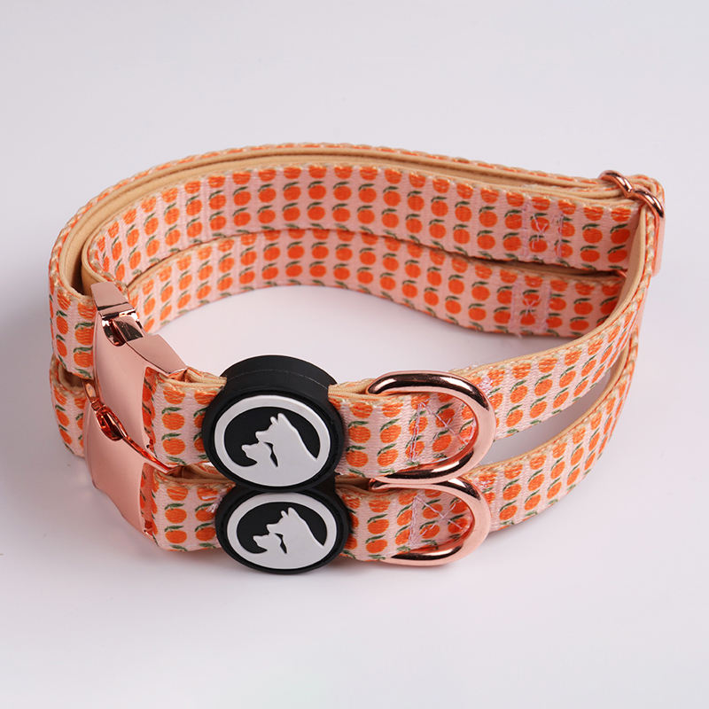 Custom Personalized Pattern Padded Printing Pet Dog Collar And Lead Set Luxury