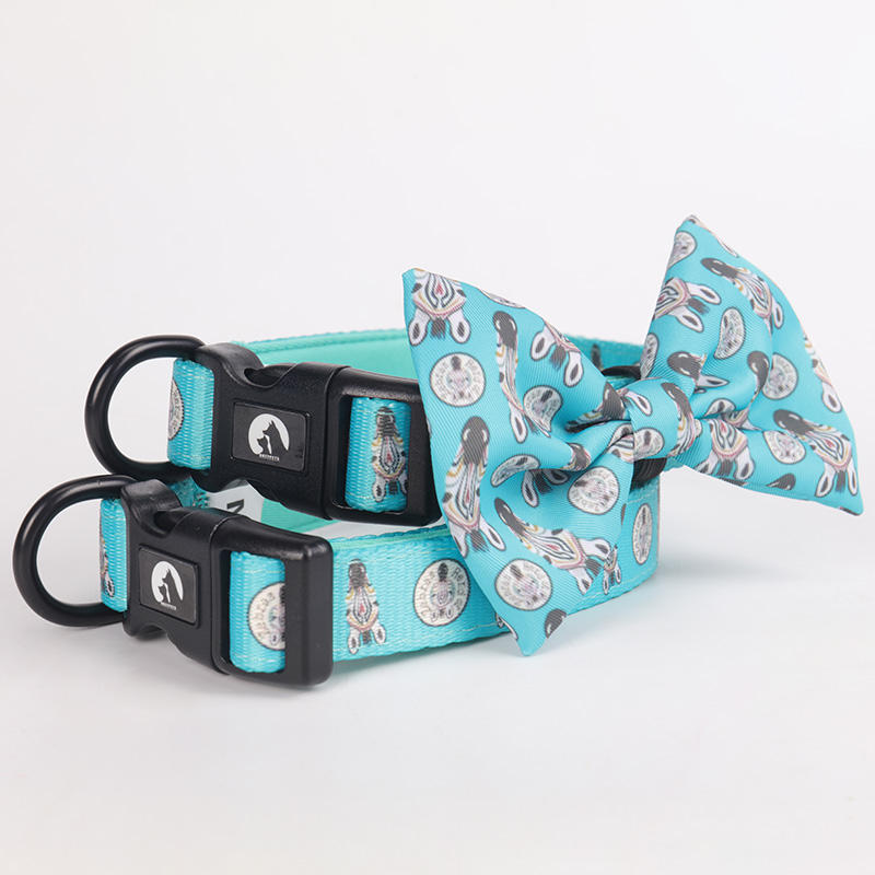 2022 Popular High Quality Polyester Printed Colorful Custom Comfortable Cat Dog Harness And Leash For Pet