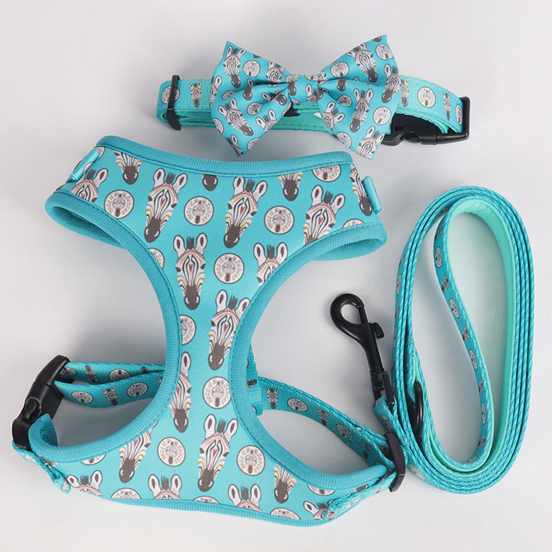 2022 Popular High Quality Polyester Printed Colorful Custom Comfortable Cat Dog Harness And Leash For Pet