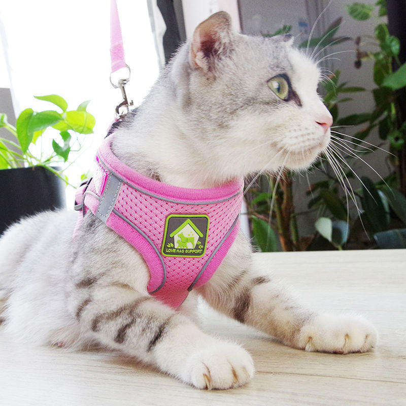 2022 Popular High Quality Polyester Printed Colorful Custom Comfortable Cat Dog Harness And Leash For Pet