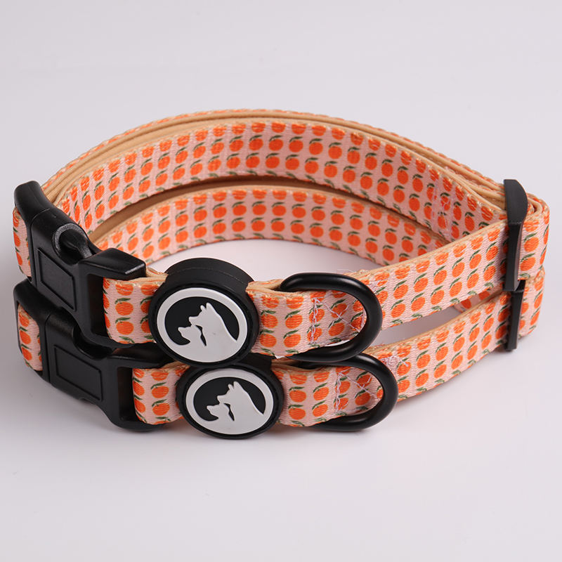 Luxury Personalized Padded Printing Dog Pet Collar And Leash Set