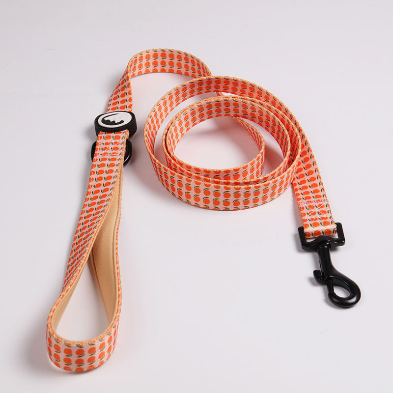 Luxury Personalized Padded Printing Dog Pet Collar And Leash Set