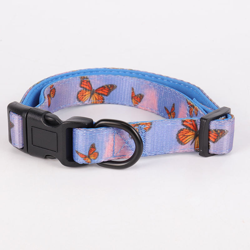 Colorful Adjustable Dog Collar,Solid Ombre Pet Collar,Customized Cat Collar In Bulk And Leash