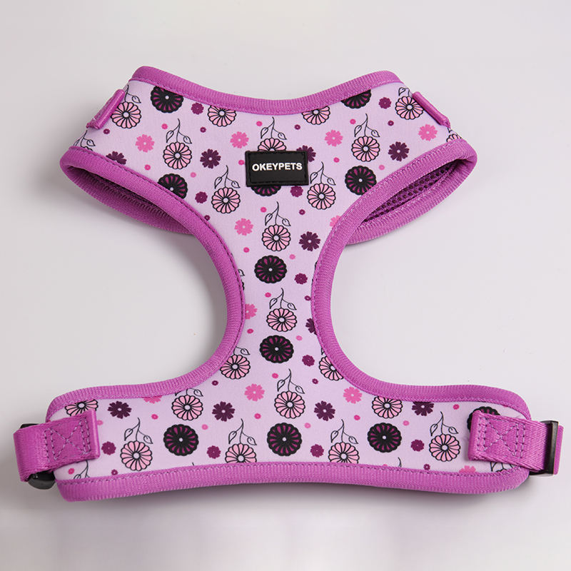 High Quality Polyester Printed Colorful Custom Comfortable Cat Dog Harness And Leash For Pets